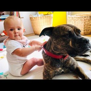 Meet your Posher, Jessie